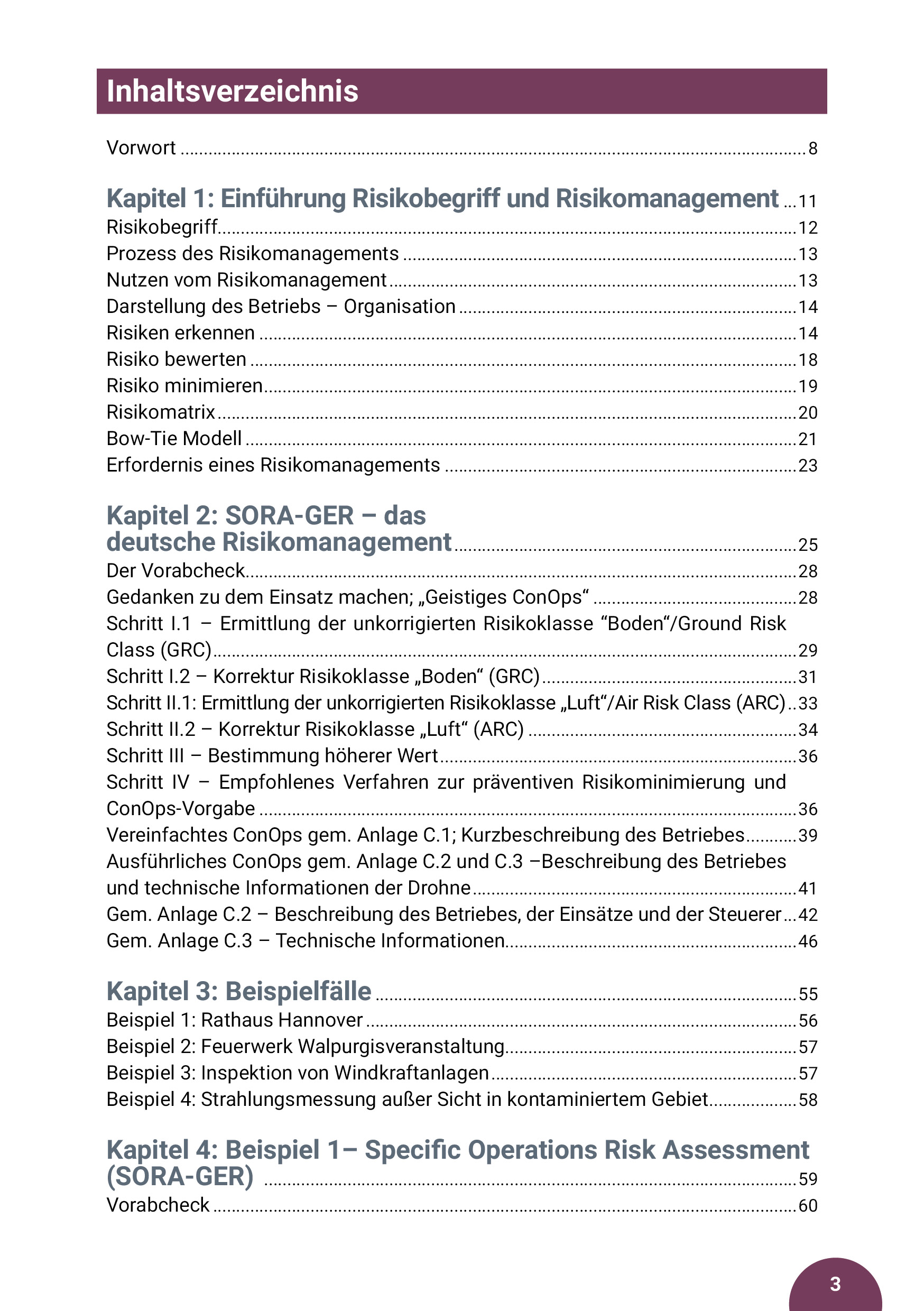 Drohnen Guide, Band 2: Risikomanagement für zivile Drohnen und SORA (Maximilian Beck)