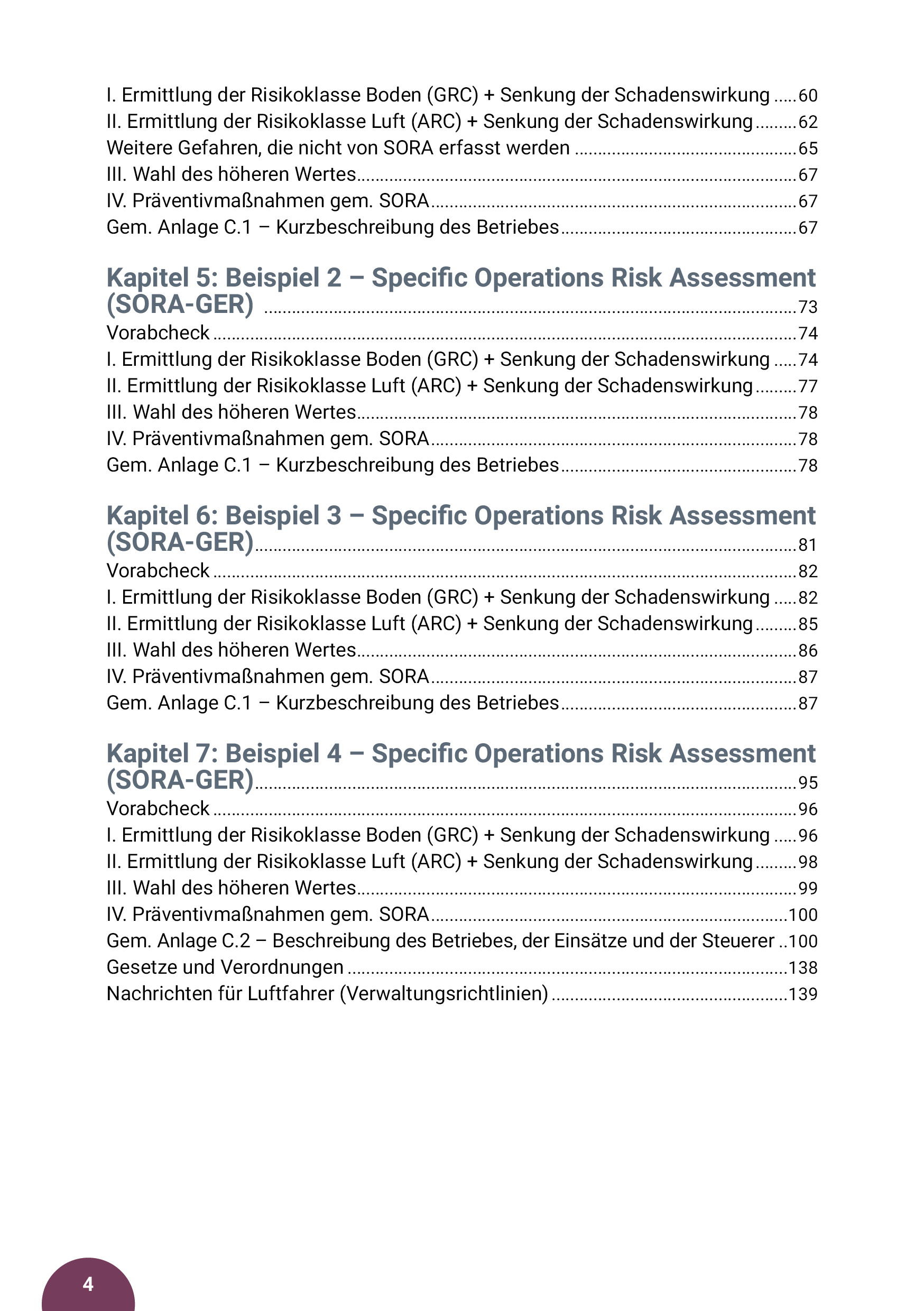 Drohnen Guide, Band 2: Risikomanagement für zivile Drohnen und SORA (Maximilian Beck)