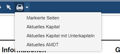 AIP VFR Online-Version, Zugang für 12 Monate