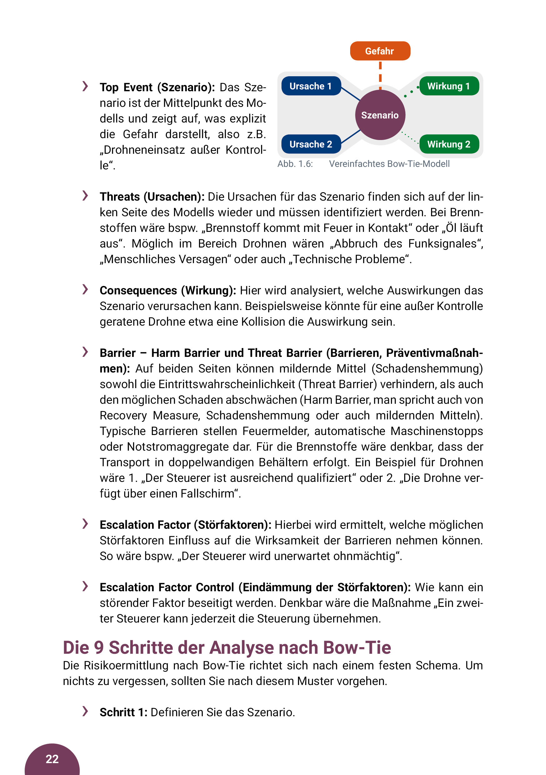 Drohnen Guide, Band 2: Risikomanagement für zivile Drohnen und SORA (Maximilian Beck)